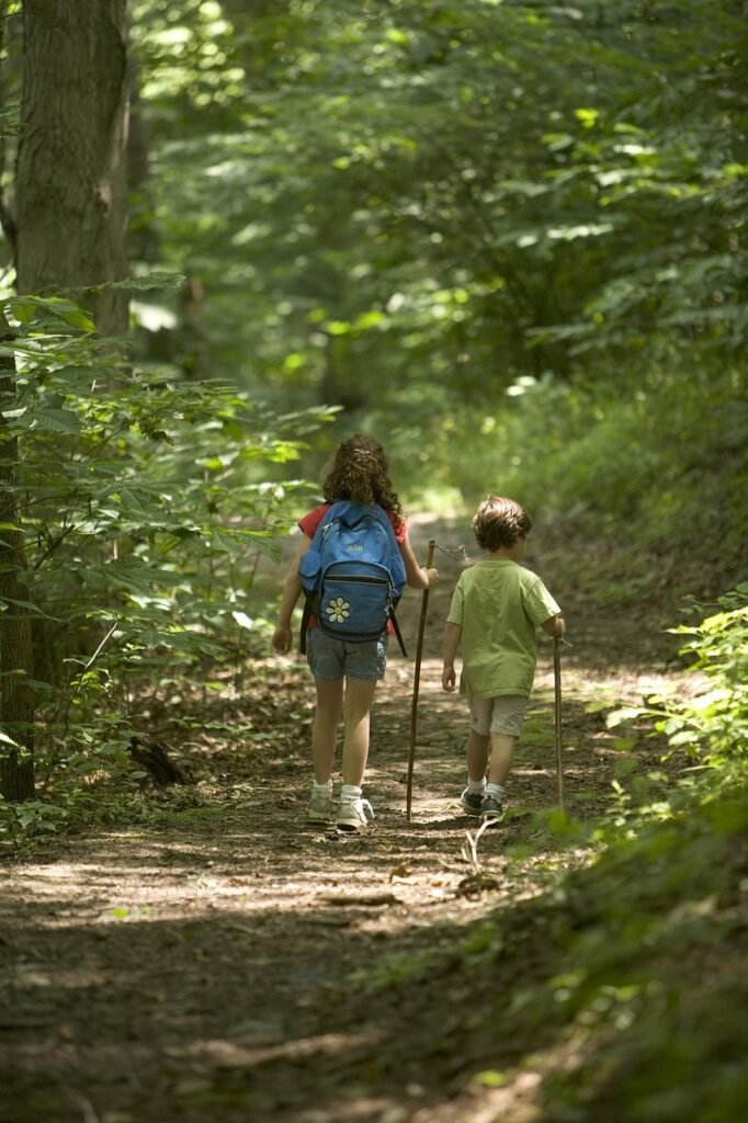 forest, hiking, kids