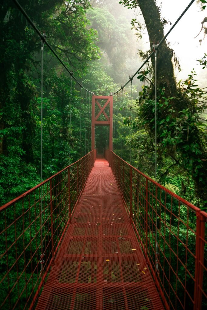 Red suspension bridge surrounded by lush green forest in Monteverde, Costa Rica.