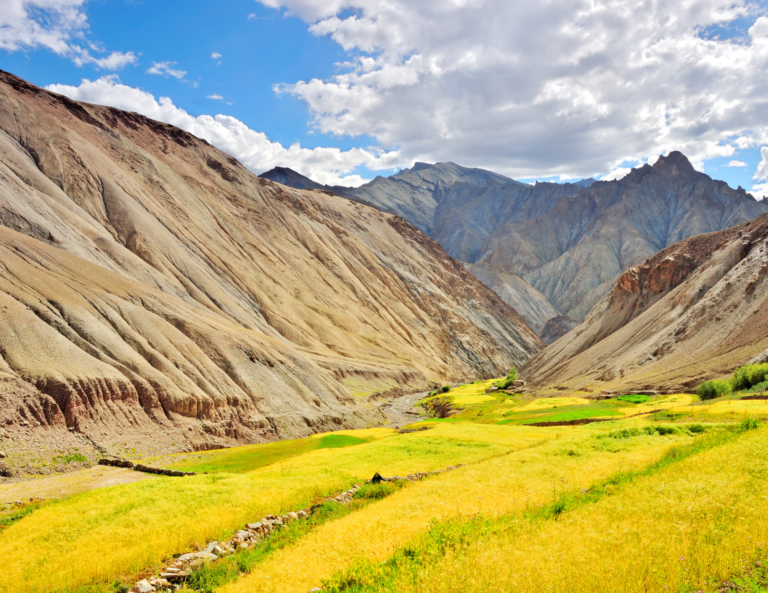 Markha Valley Trekking Guide: A Majestic Journey Through Ladakh’s Hidden Beauty