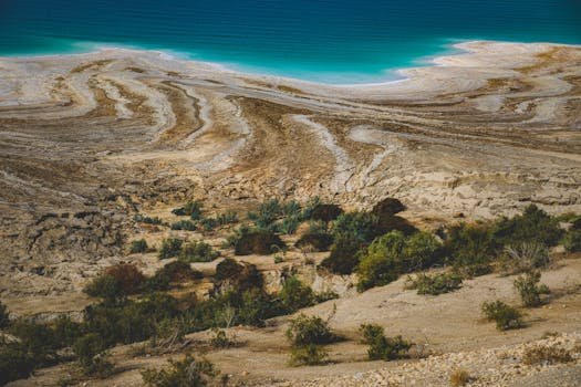 A mesmerizing view of the Dead Sea shoreline with vibrant mineral patterns and clear blue water.