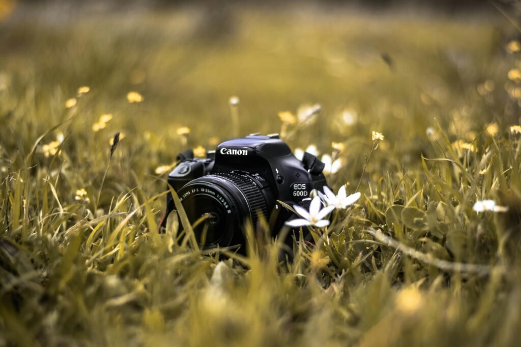 A DSLR camera nestled in a lush field with vibrant flowers in the foreground.