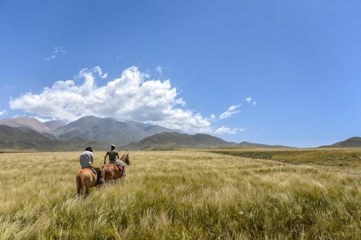 Two people on horseback ride through Mendoza's picturesque grasslands under a blue sky.