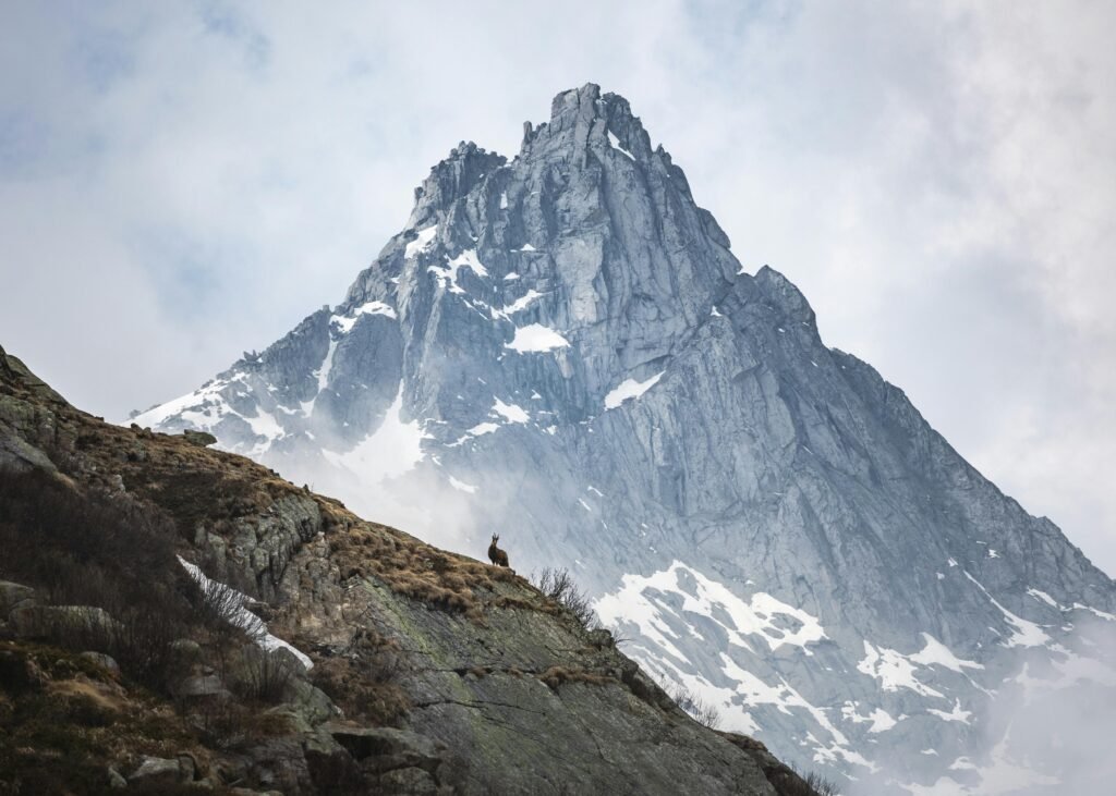Illustrate how altitude sickness is basic in First Aid for Hikers