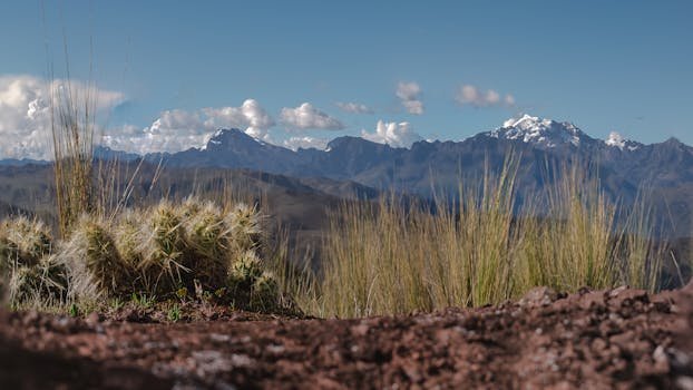 Explore the breathtaking Andes Mountains in Cusco with lush flora and serene scenery.